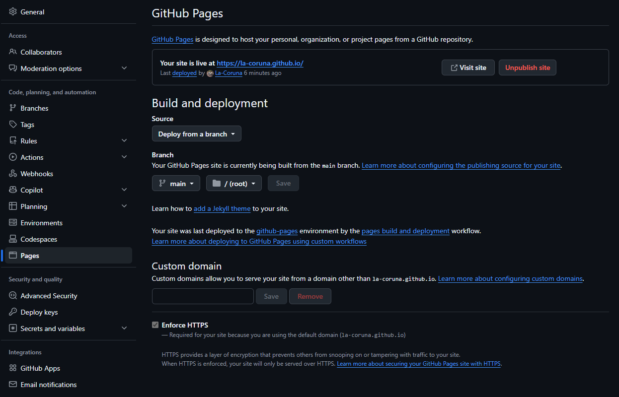 GitHub Pages의 Custom domain 설정 화면